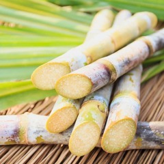 Sugarcane | @tokotheproducer