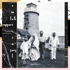 Lo-fi Emotional Support Gang