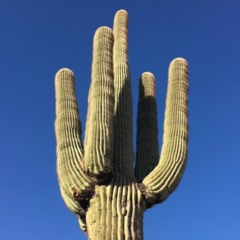 Wild West    PROD- rávega