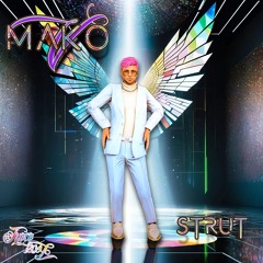 Mako V - Strut