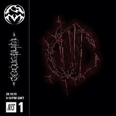 PM RADIO 28.10.20 - Endgame & whiterose