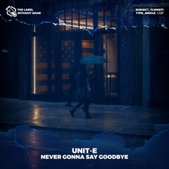 Unit-E - Never Gonna Say Goodbye