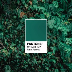 Sounds from Monday afternoon