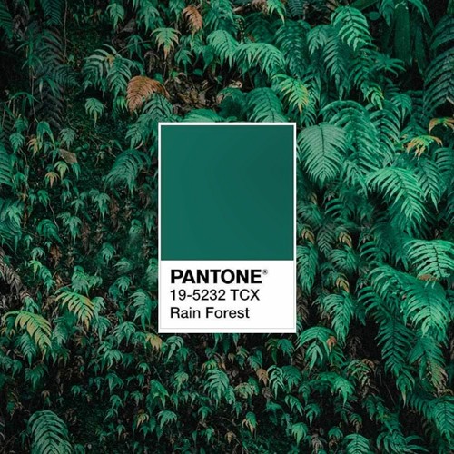 Sounds from Monday afternoon