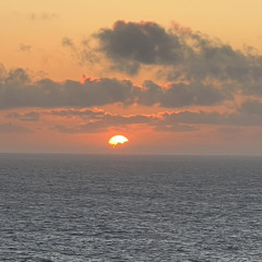 LIVE: We don’t buy jam, We buy honey