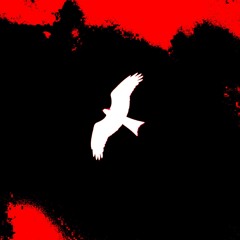FLY
