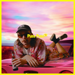 Zara Larsson x Robyn - Puss Puss (Didi The Pool Boy Remix)