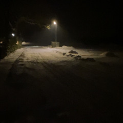 Feo Night - ok wie's ist