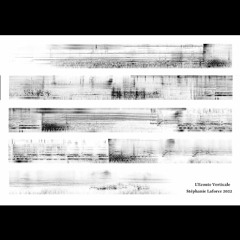 L'Ecoute Verticale - 2022