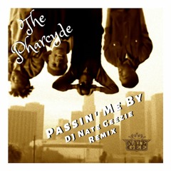 The Pharcyde - Passin' Me By (DJ Nate Geezie Remix)