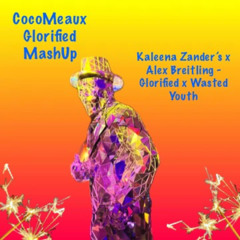 Glorified x Wasted Youth MashUp