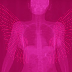 WHAT THEY WANT - NILA - FT SUGAR WOLF