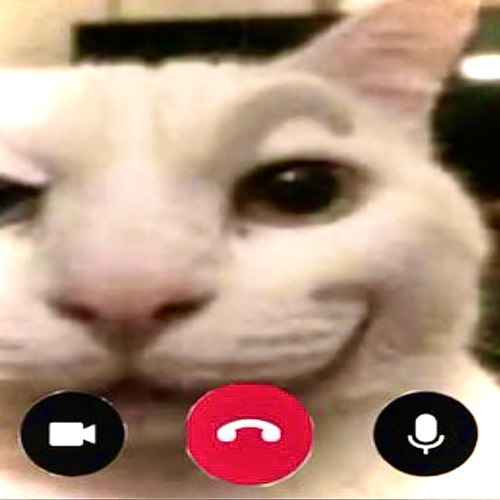 *67 new voice messages* Σ(°△° ) !!