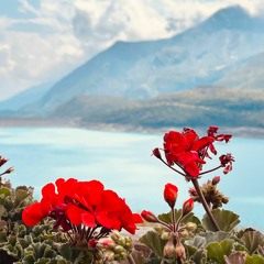 Point de non-retour Pina Bausch ( feat Anne-James Chaton) remix