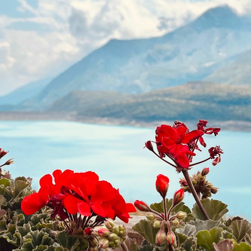 Point de non-retour Pina Bausch ( feat Anne-James Chaton) remix
