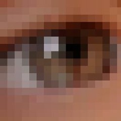 An Island In Her Eyes