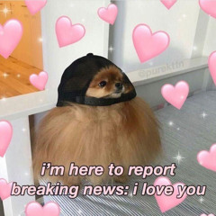 Trời đã đổ cơn mưa em đã đổ anh chưa//25xNDA