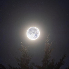 كنت شايفك حاجة غالية..