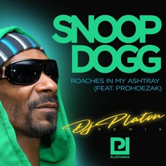 Snoop Dogg - Roaches In My Ashtray (feat. ProHoeZak) Dj Platon Remix