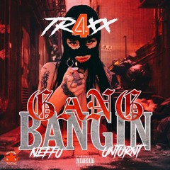 Gang Bangin