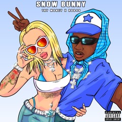 Snow Bunny (feat. Rob49)