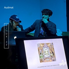 Audimat Panel - Les contrées magiques de la musique électronique post-club