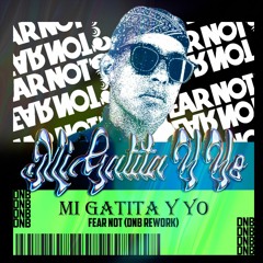 Mi Gatita y Yo (Fear Not DNB Rework)