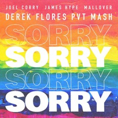 Joel Corry - SORRY ( Derek Flores PVT Mashup ) Tribal House