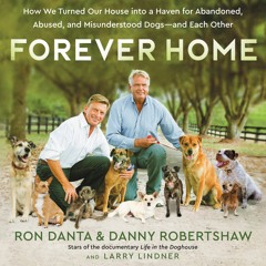 FOREVER HOME by Ron Danta & Danny Robertshaw
