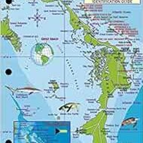 Stream ️ Read Great Abaco Island Bahamas Dive Map & Reef Creatures