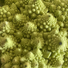 fractalbroccoli - 3:12:22, 3.02 AM