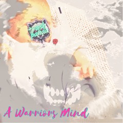A Warriors Mind