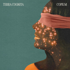06 COPIUM AN MASTER 24-48KHZ 3.1
