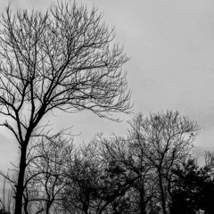 Mafia Prod. By Xpecial K