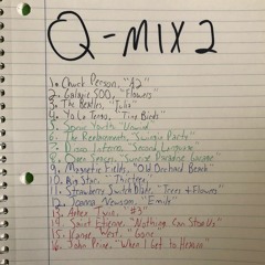 Q-MIX 2