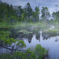 Rain Falling Sounds On Enchanted Pond (75 Minutes)