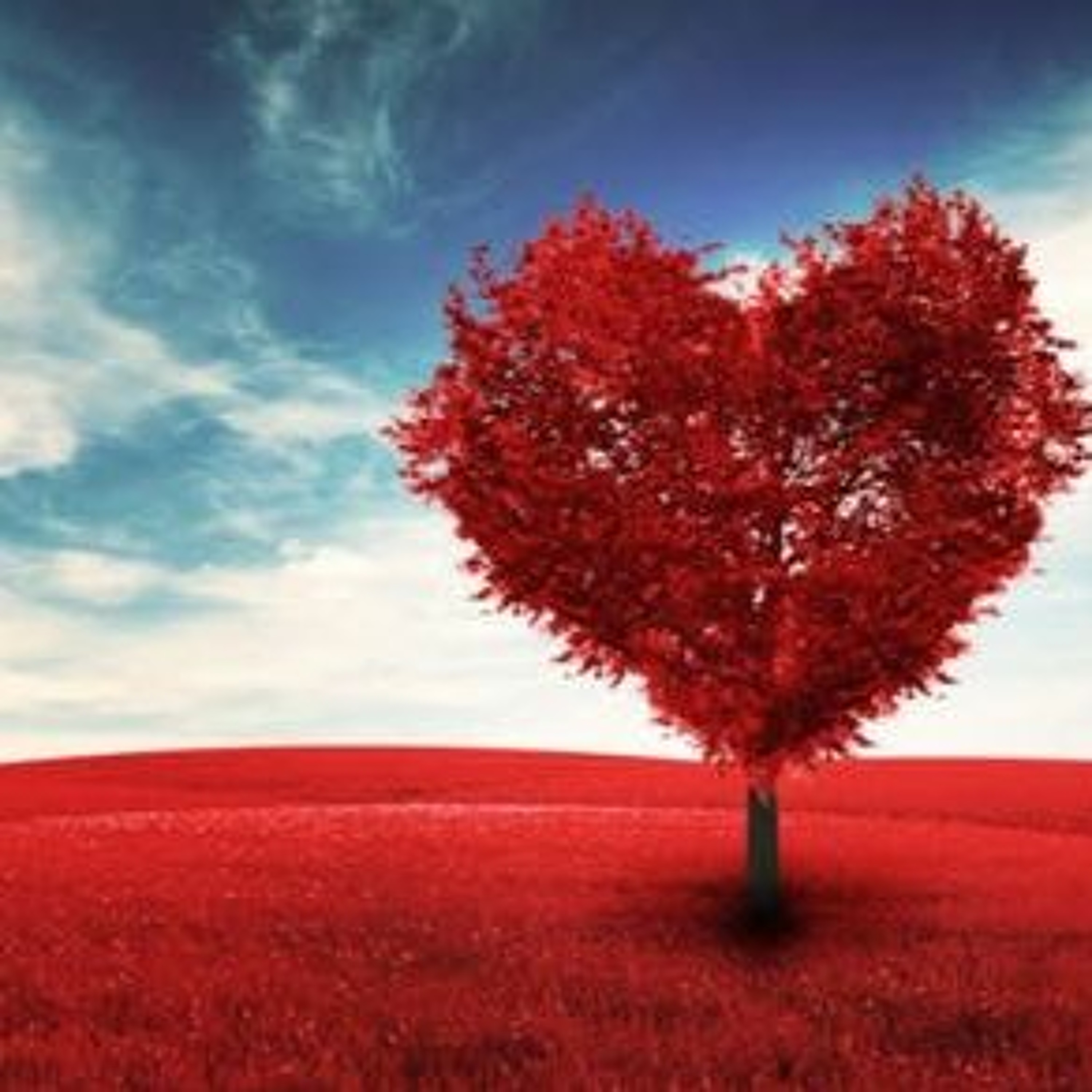 Open Love episode artwork