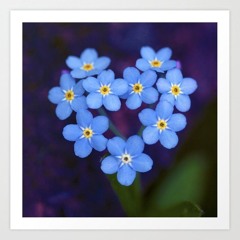 False Ace (VISION radio rip)