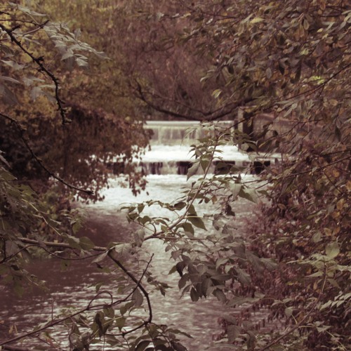 On A Whim (Unicircle1 Mix)