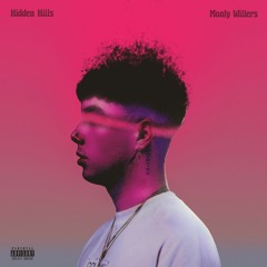 Hidden Hills - Monty Willers