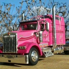 Hot Pink Kenworth (keogh/carlson)