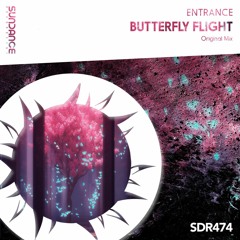 Entrance - Butterfly Flight (Original Mix)