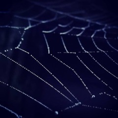 Passiontide, Silence at Redmoor, Compline, 4'33