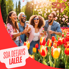 SOA Deejays - Lalele COVER [Extended Mix]