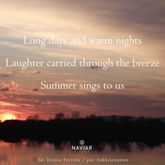 haiku #498: Long days and warm nights / Laughter carried through the breeze / Summer sings to us