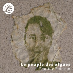 Episode 1 : Scruter la laisse de mer, avec Pauline Poisson
