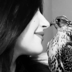 غمض عيونك واحلم انك معايا