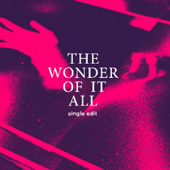The Wonder Of It All (single edit)