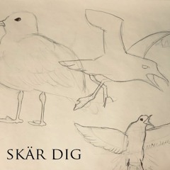 smakprov - skär dig ft. måsar