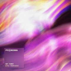 Get Funky - Ric Rodrigues [FREE DOWNLOAD]